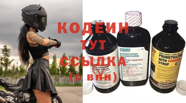 СК Вязьма