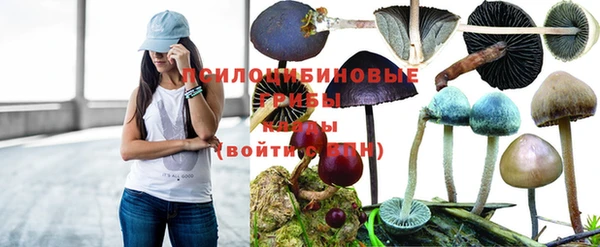 ALPHA-PVP Алексин